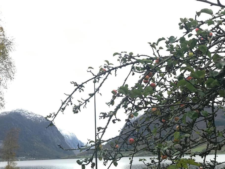 Apartment With Lake View In Jolster Årdal Extérieur photo